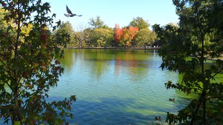 parc bordelais plan d'eau