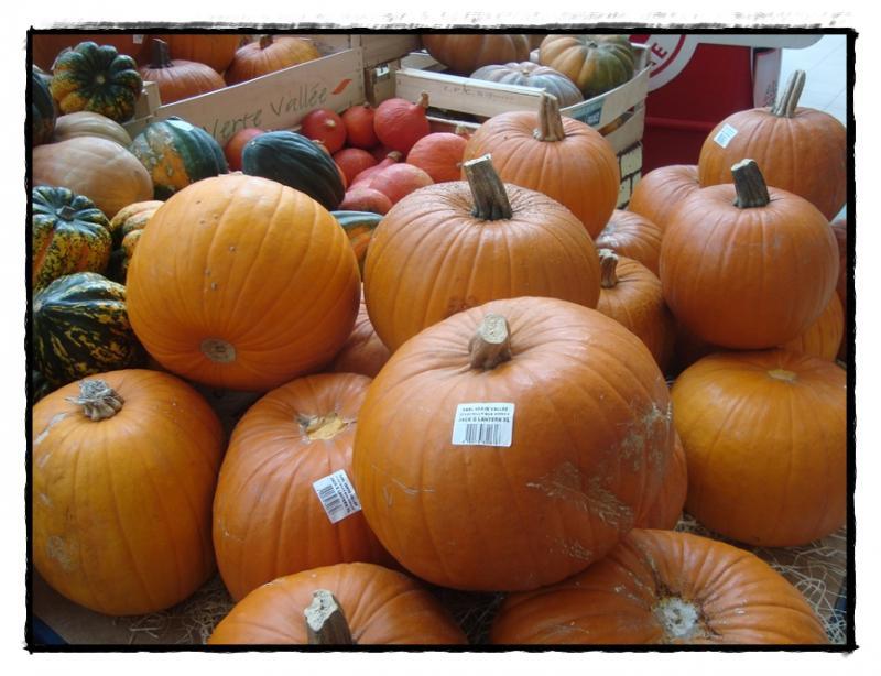 La foire aux citrouilles, 22 octobre 2011