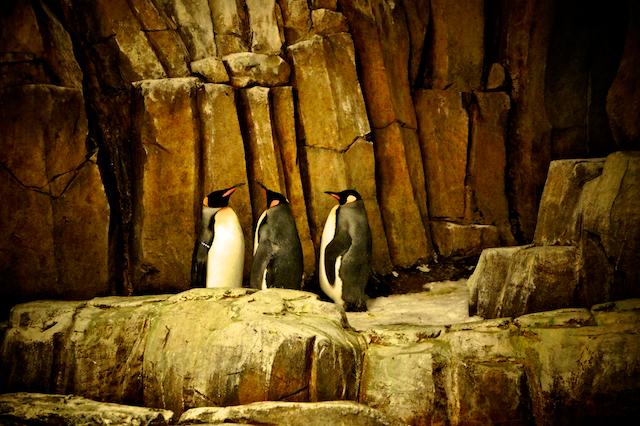 La photo du dimanche #17 !!! Nous sommes en feu !!! La photo du dimanche #17 !!! Nous sommes en feu !!!