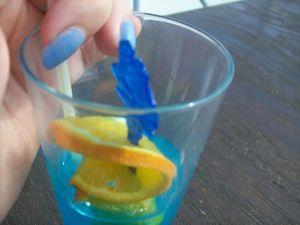 Une nouvelle passion 315379_2379691098489_1437013089_2784761_2134185415_n