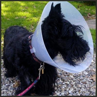 Tout d'abord, Merci, Merci et... Merci !!!J'étais ve... Tout d'abord, Merci, Merci et... Merci !!!J'étais ve...