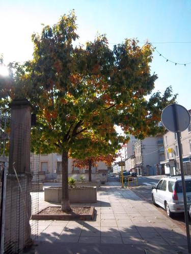 Nous avons aimé voir cet après-midi l'église de Rive-de-Gier 100_2054.JPG