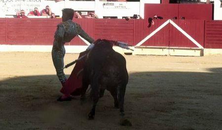 INTERESSANTS TOROS DE YONNET A AIRE SUR L' ADOUR escrinano