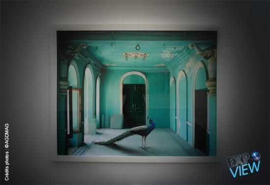 DSC03528 Expo View | Karen Knorr