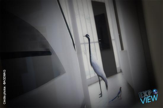 DSC03499 Expo View | Karen Knorr