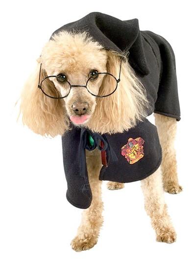 dogpotter gnd Des costumes geeks, pour chiens ??