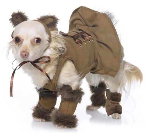 doglion gnd Des costumes geeks, pour chiens ??