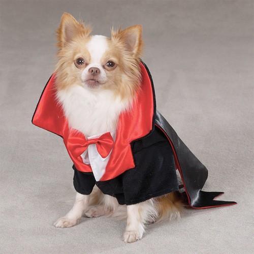 dogdracula gnd Des costumes geeks, pour chiens ??