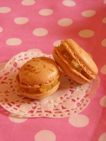 Macaron Pomme & Pain d'épices ♥ PA200009