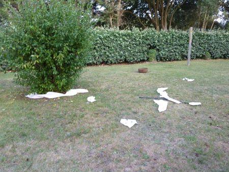 l'essuie-tout P1100069