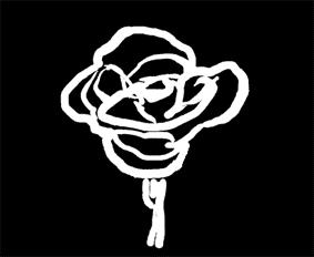 A rose is