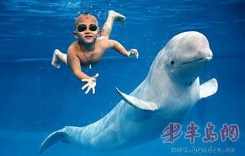 Un enfant de trois ans s'amuse avec une baleine blanche