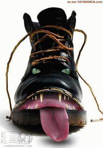 Chassés croises-pieds : Christine Albanel, le retour ! chaussures.jpg