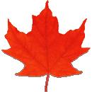 Votre famille est-elle prête à faire face à d'éventuels dangers ?