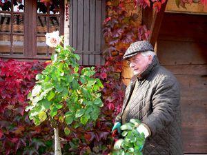 Images d'automne (un peu trafiquées ....) Tour de jardin 008