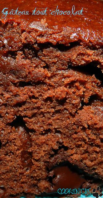 GATEAU TOUT CHOCOLAT GATEAU TOUT CHOCOLAT