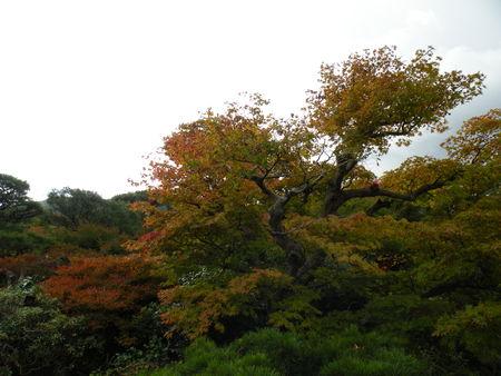 La balade d'Arashiyama ... Japon_Kyoto_2009_2115
