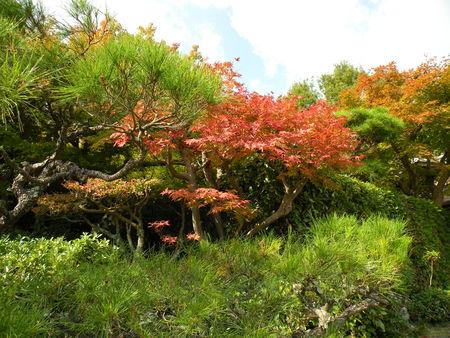 La balade d'Arashiyama ... Japon_Kyoto_2009_2112