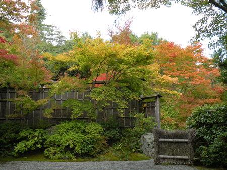 La balade d'Arashiyama ... Japon_Kyoto_2009_2091