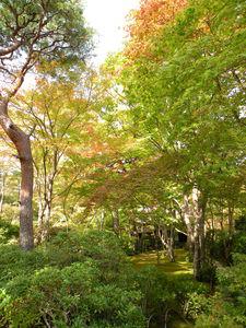 La balade d'Arashiyama ... Japon_Kyoto_2009_1997