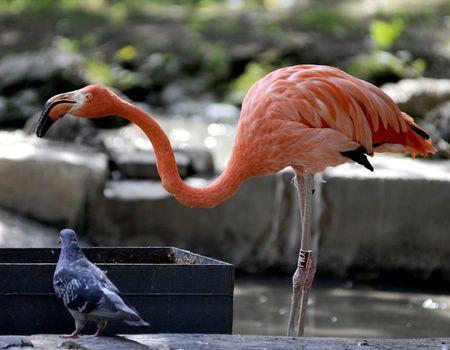 J'ai testé un stage avec Enseigne moi la photo! _NYC2721V2