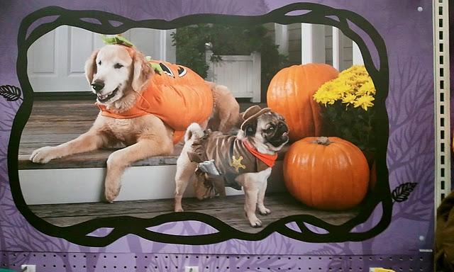 Happy Halloween...doggy's!