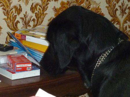 J'ai piqué une bricole à ma maîtresse P1100182