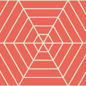 Hexagon Webs in Peach