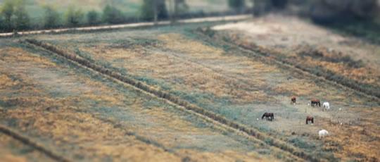 The village The Village