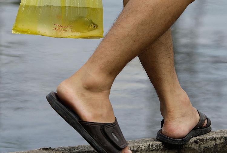 Les inondations en Thaïlande en photo Les inondations en Thaïlande en photo