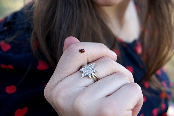 Claudie, c'est fini ! (et dire que c'était....) DSC06299