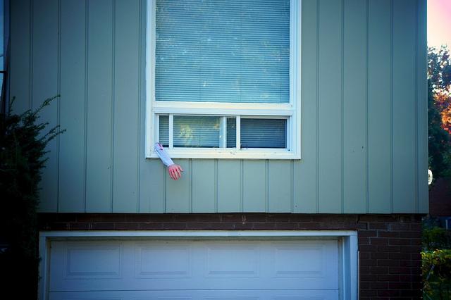 J'aime mes voisins... DSC05724