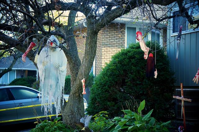 J'aime mes voisins... DSC05707