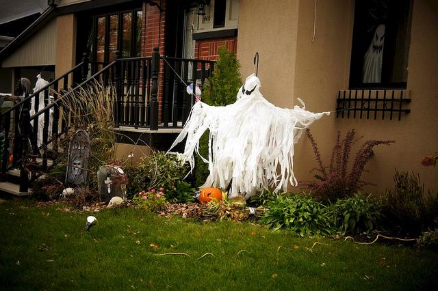 J'aime mes voisins... DSC05799