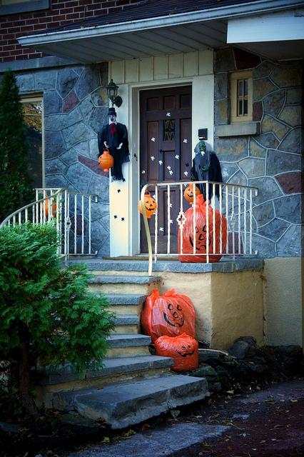 J'aime mes voisins... DSC05733