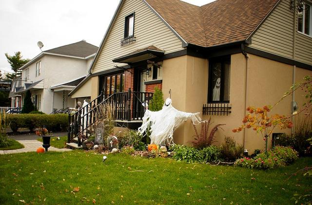 J'aime mes voisins... DSC05798