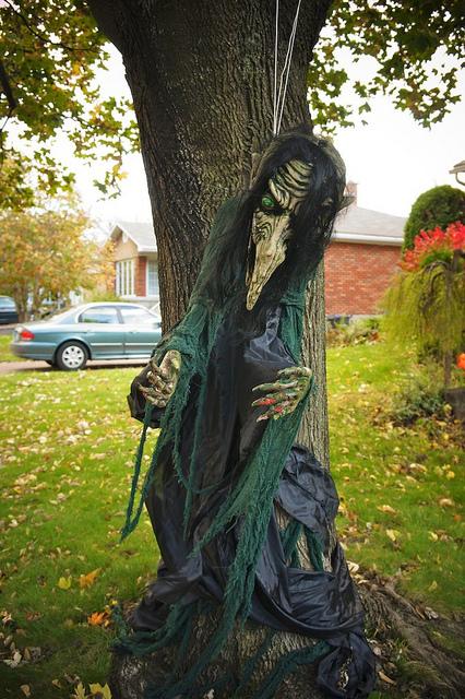 J'aime mes voisins... DSC05881