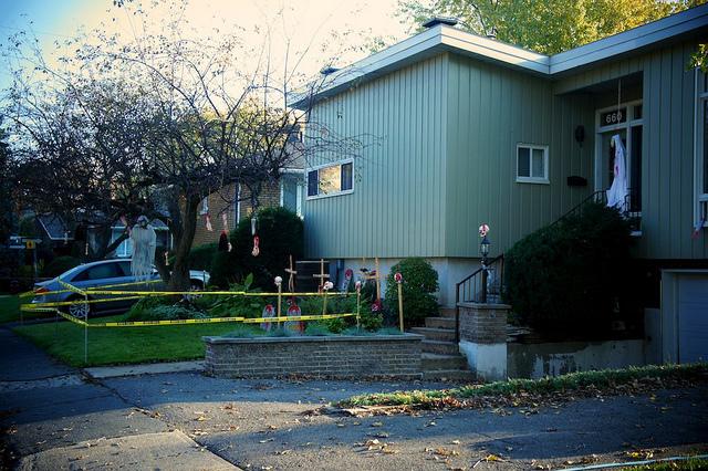 J'aime mes voisins... DSC05706