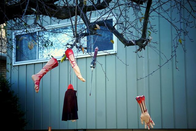 J'aime mes voisins... DSC05711