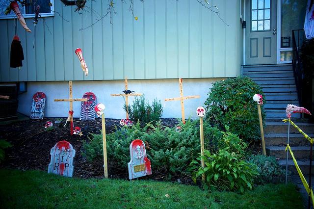 J'aime mes voisins... DSC05709