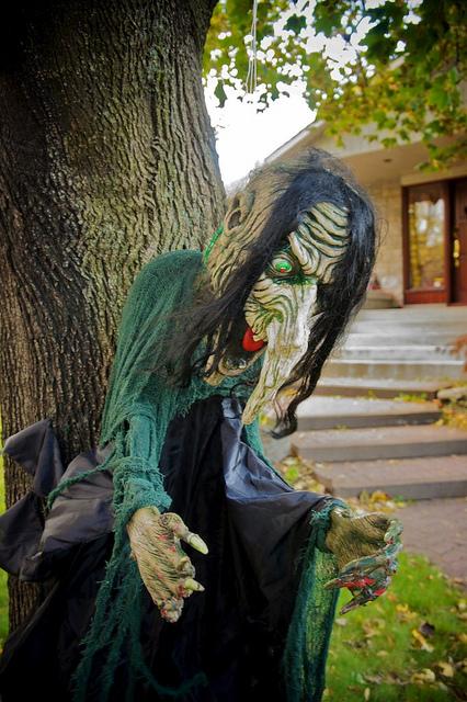 J'aime mes voisins... DSC05882