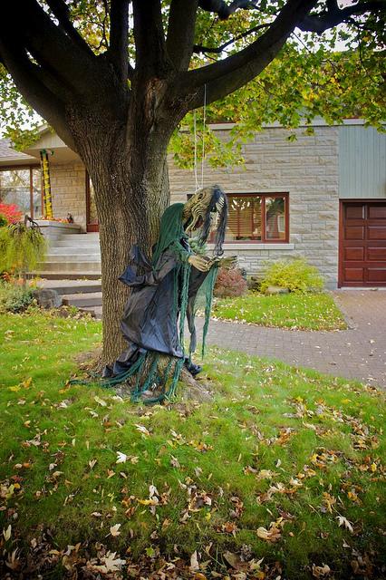 J'aime mes voisins... DSC05875