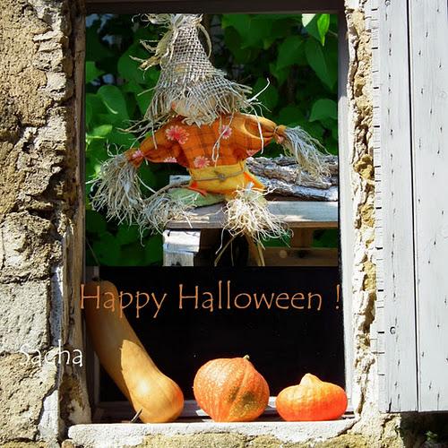 Pumkin pie au lait de coco Pumkin pie au lait de coco