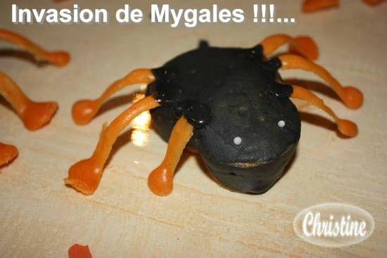 ~~ Au Secours !!! Invasion de Migales !!!... ~~ IMG_2921