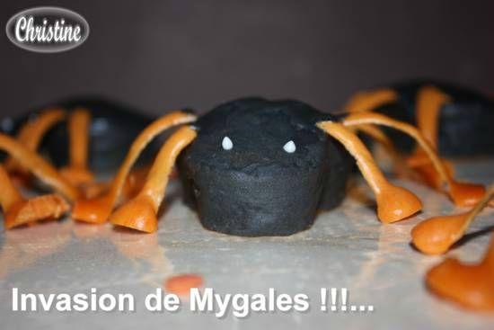 ~~ Au Secours !!! Invasion de Migales !!!... ~~ IMG_2936