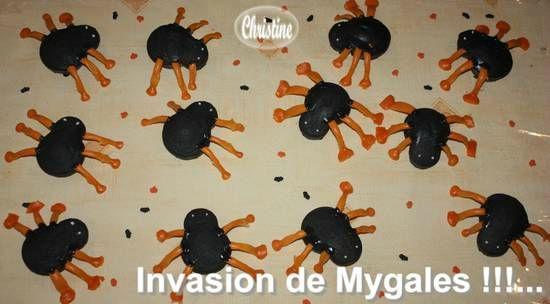 ~~ Au Secours !!! Invasion de Migales !!!... ~~ IMG_2925