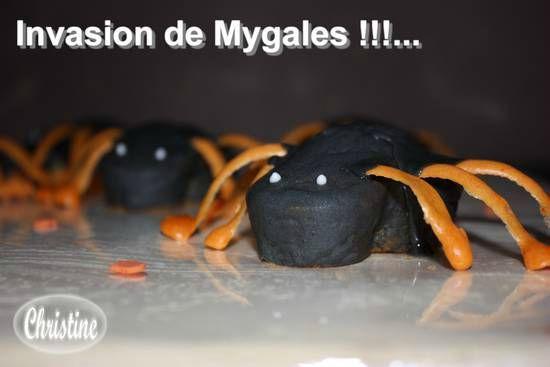 ~~ Au Secours !!! Invasion de Migales !!!... ~~ IMG_2935