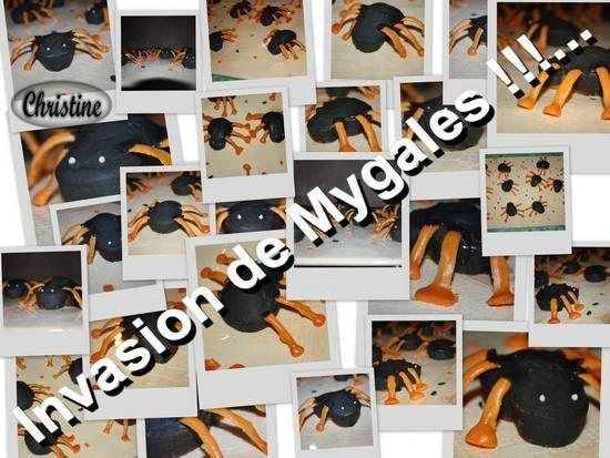 ~~ Au Secours !!! Invasion de Migales !!!... ~~ IMG_2937