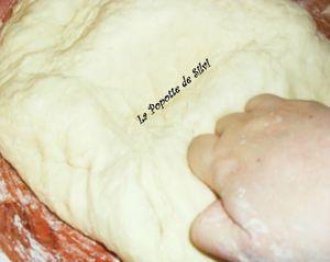 Petits Pains moelleux SAM_8814