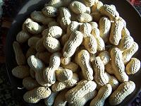 Tartinades aux cacahuètes et aux noix